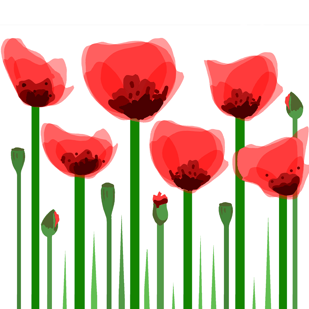 flower-6l6f